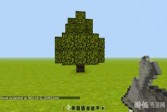 我的世界手机版怎么种树