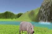 抖音模拟猪的游戏叫什么