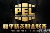 在和平精英职业联赛PEL中有多少支战队进入到晋级赛呢