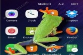 手机屏幕养动物的软件叫什么？手机屏幕养兔子的软件在哪下载？[图]