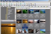 isee图片专家软件下载,v3.9.3.0绿色版软件