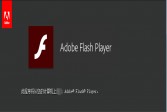 Adobe下载,Flash下载,Player下载,PPAPI下载,32.0.0.465中文国际版软件