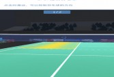 羽毛球模拟游戏下载,安卓v1.1.2休闲益智手游