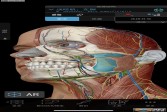 2020人体解剖学图谱app下载,安卓v2121.1.71常用软件手游
