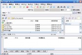 LeapFTP下载,v3.1.0.50中文绿色版软件